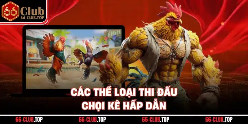 Các thể loại thi đấu chọi kê hấp dẫn