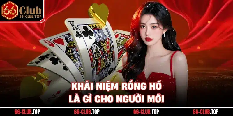 Khái niệm Rồng Hổ là gì cho người mới