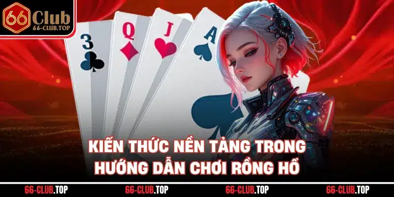 Kiến thức nền tảng trong hướng dẫn chơi rồng hổ