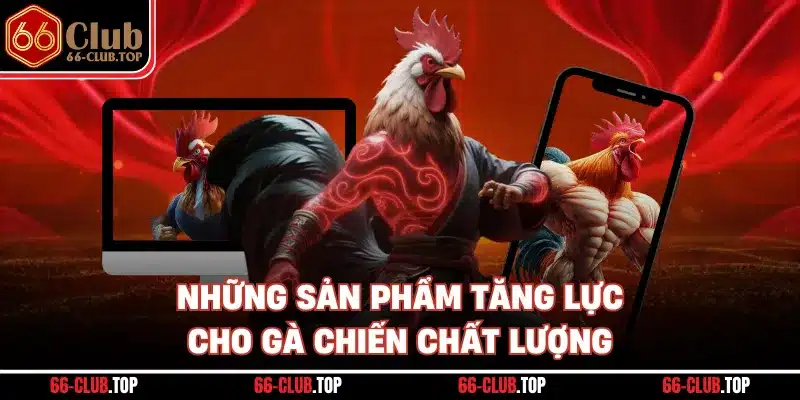 Những sản phẩm tăng lực cho gà chiến chất lượng