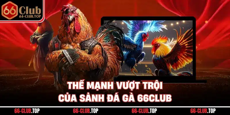 Thế mạnh vượt trội của sảnh đá gà 66Club