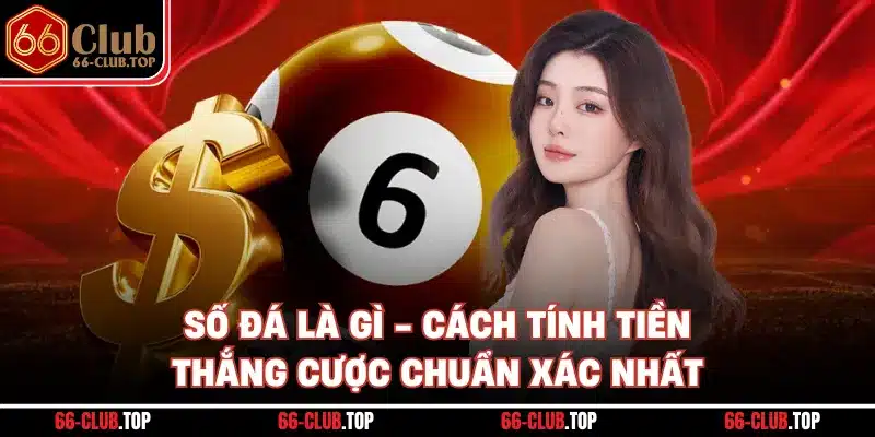 Số Đá Là Gì - Cách Tính Tiền Thắng Cược Chuẩn Xác Nhất