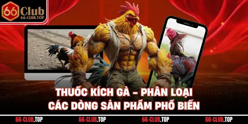 Thuốc Kích Gà - Phân Loại Các Dòng Sản Phẩm Phổ Biến